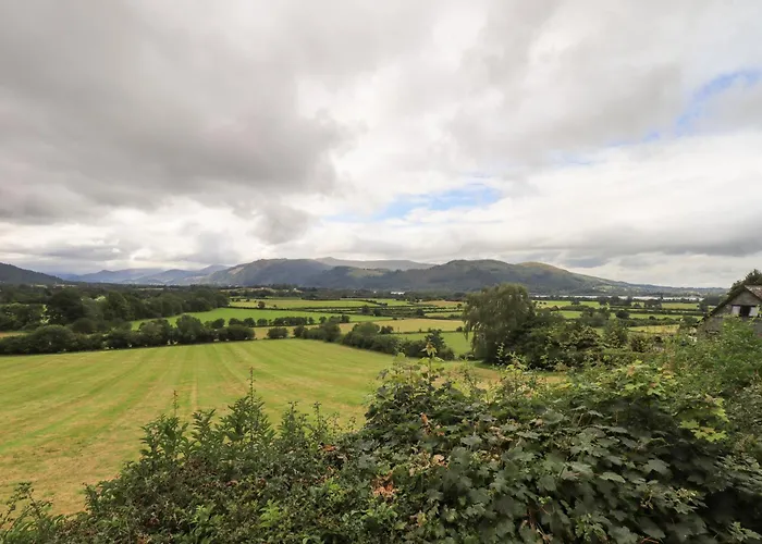 Squirrel * Keswick (Cumbria)
